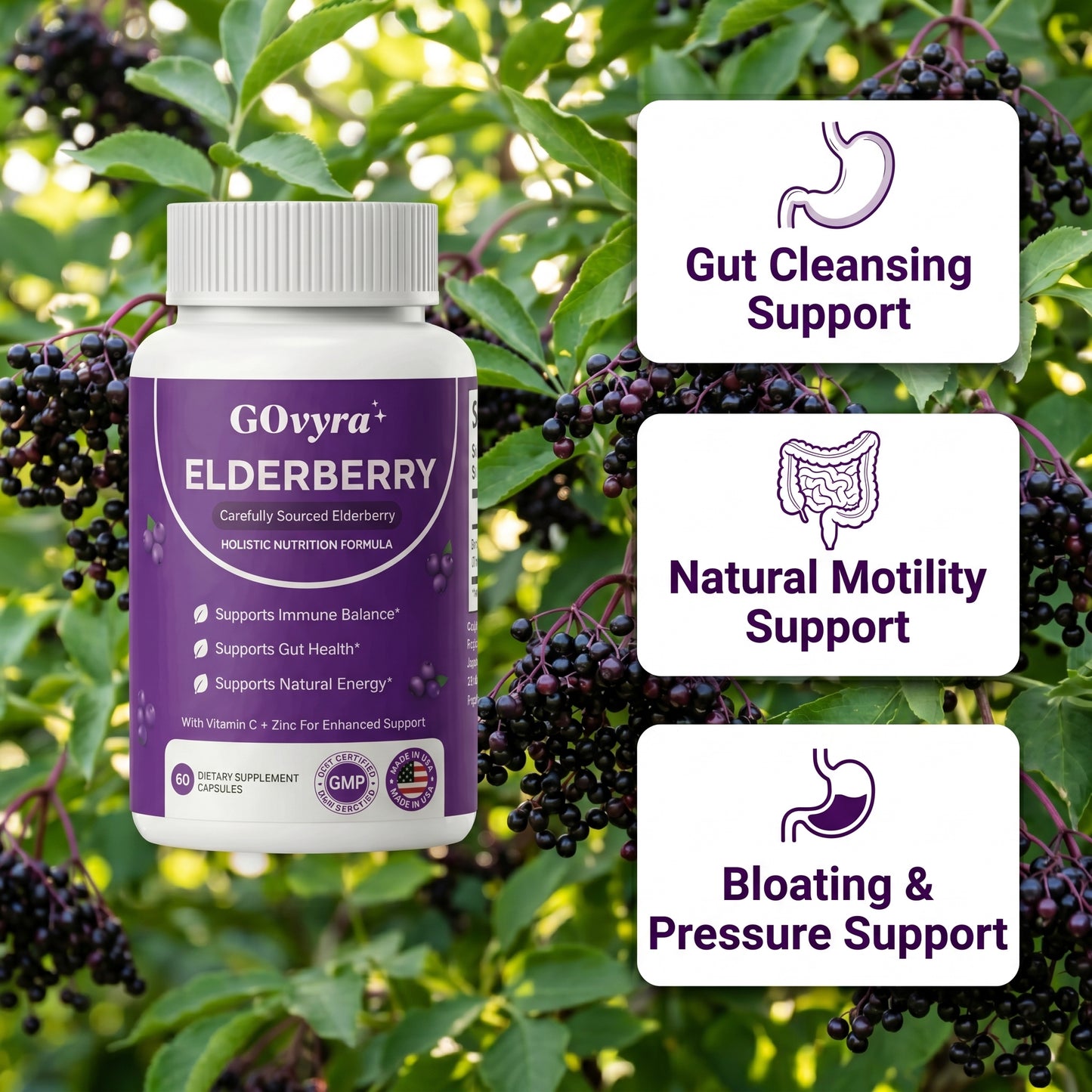 GOvyra™ Gut Restore Complex